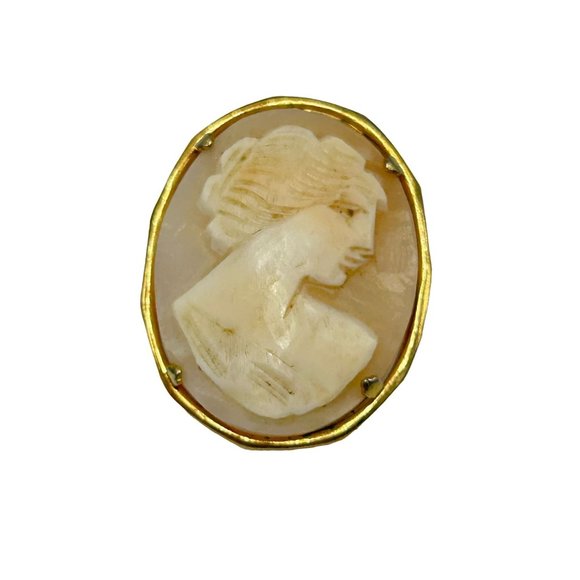 Vintage Shell Cameo Pin Brooch Carved Lady Profile Gold Tone Setting Oval Shaped - Picture 1 of 6